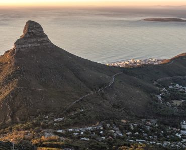 lion head cape town